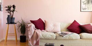 FINKOLORA WALL PRIMER, hĺbkový penetračný náter