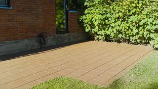 CLASSIC RILON ROUGH ROLLER MIT LAGER - Farbroller für grobe Textur