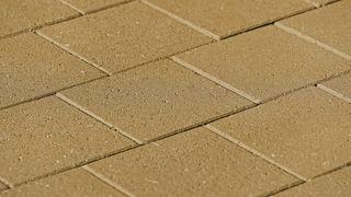 CLASSIC RILON ROUGH ROLLER MIT LAGER - Farbroller für grobe Textur