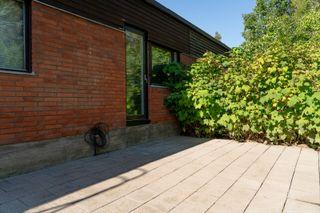 CLASSIC RILON ROUGH ROLLER MIT LAGER - Farbroller für grobe Textur